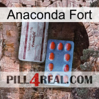 Anaconda Strong 36